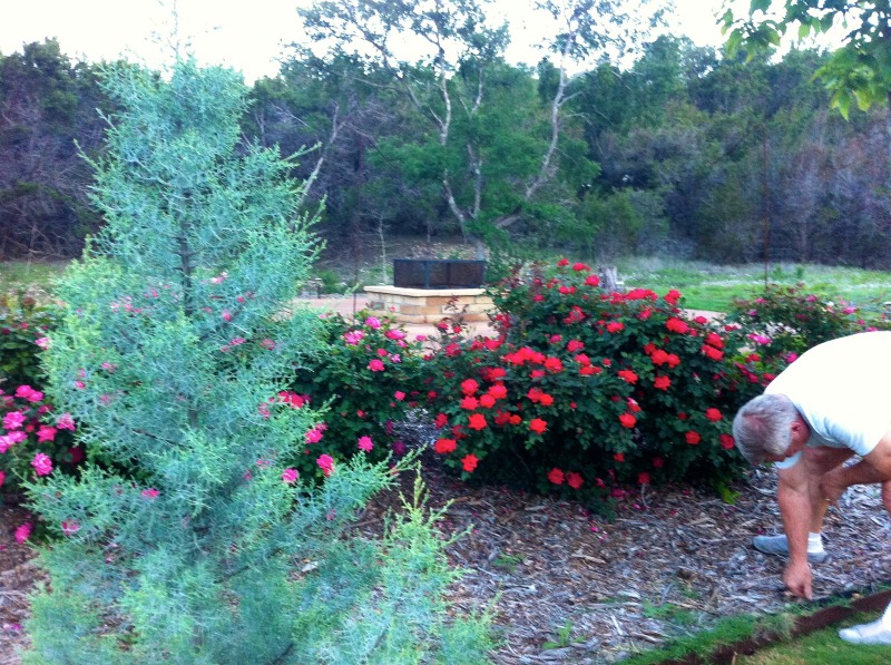 2012/00(Landscaping)/800x600_2012-04-06-10-Landscape changes Conifer Cove.jpg